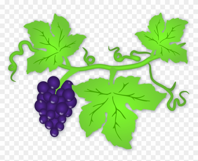 Clip Art Tree Grape - Vine Leaves Clip Art #31961