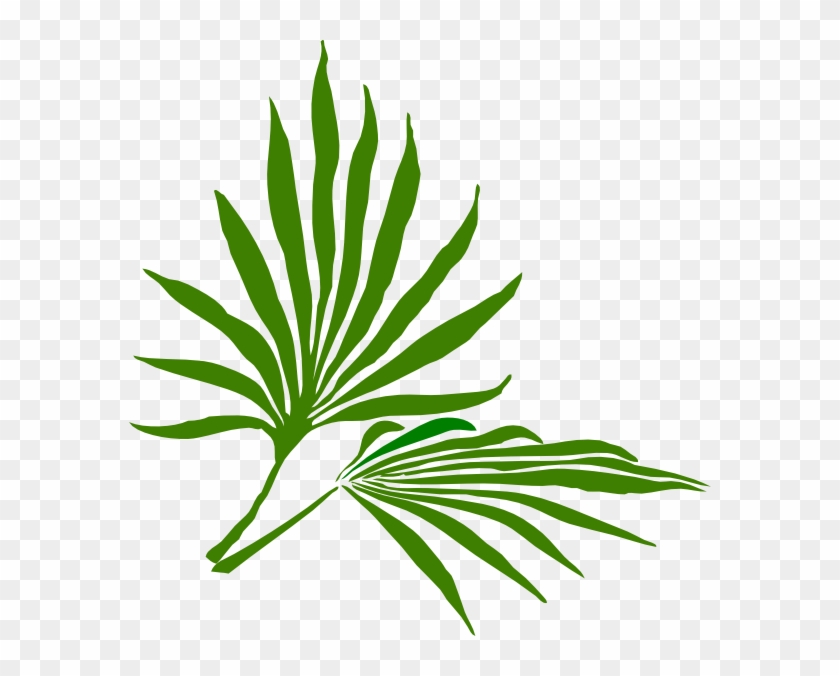 Palm Sunday Clip Art - Palm Frond Clip Art #32165