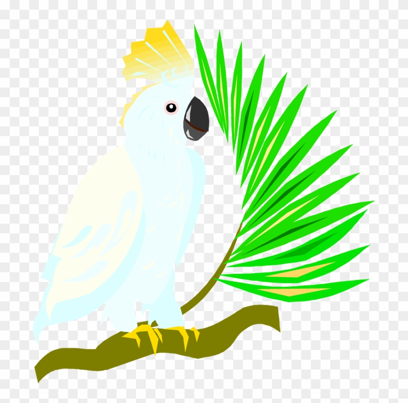 Free Parrot And Macaw Clipart - Cockatoo Clipart Transparent Background #32232