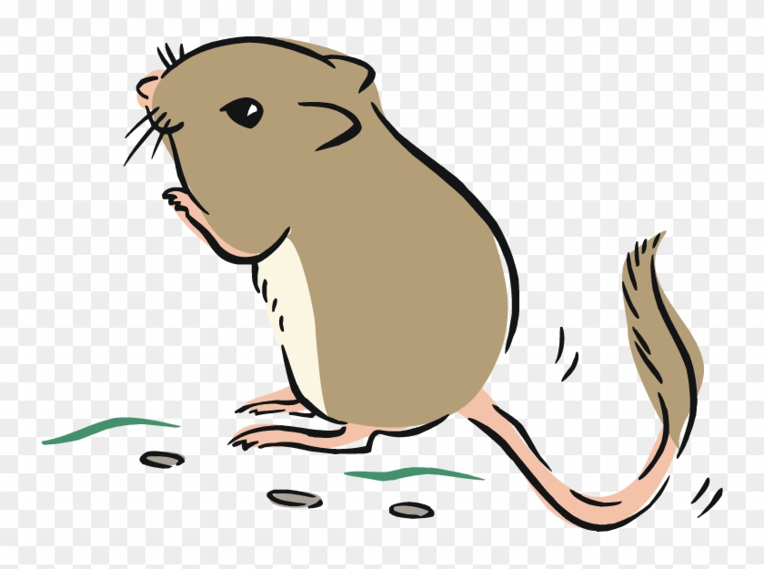 Rat Ox Tiger - Kangaroo Rat Clipart #32330