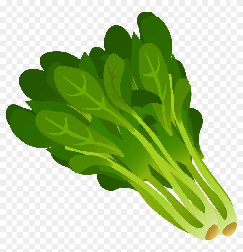 Clipart - Spinach Clipart #32602