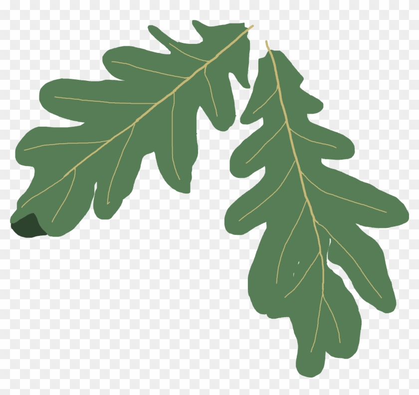 Leaves Clipart Oak Leaf - Oak Leaf Clip Art #32808