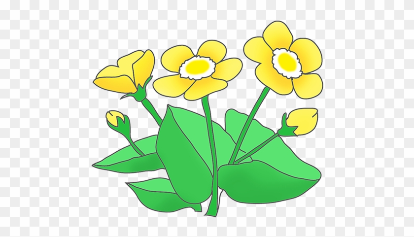 Buttercup Clipart - Clip Art #33220