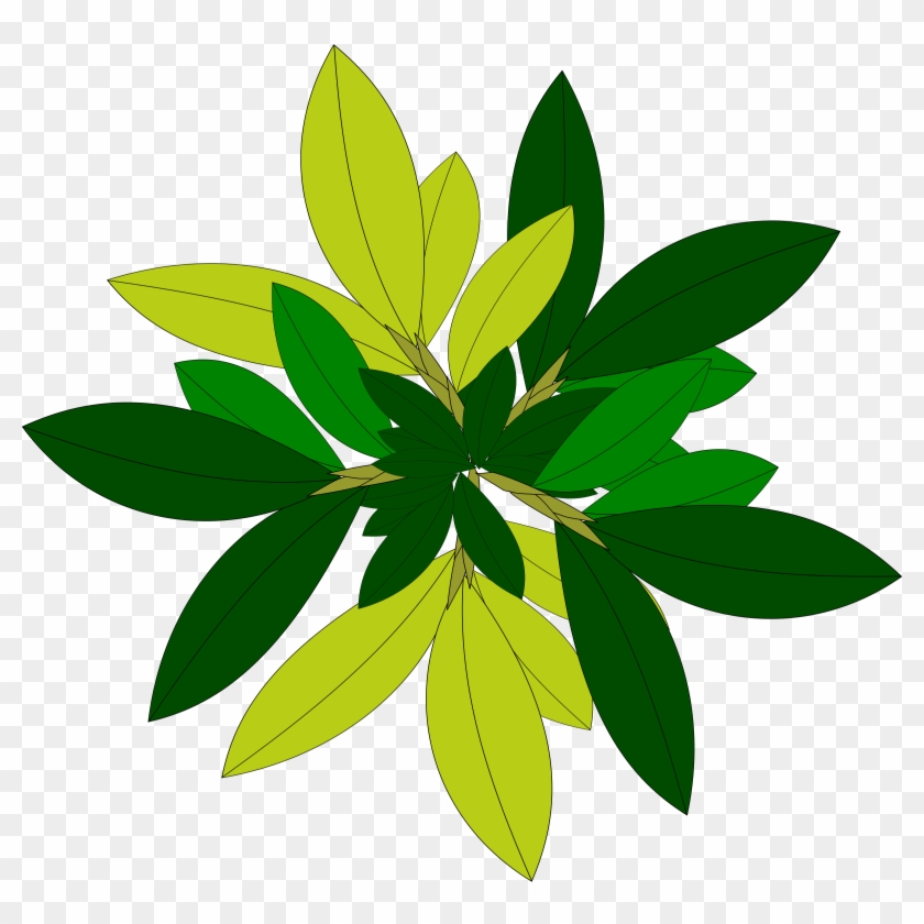 Tree-08 - Plant Top View Vector Png #33262