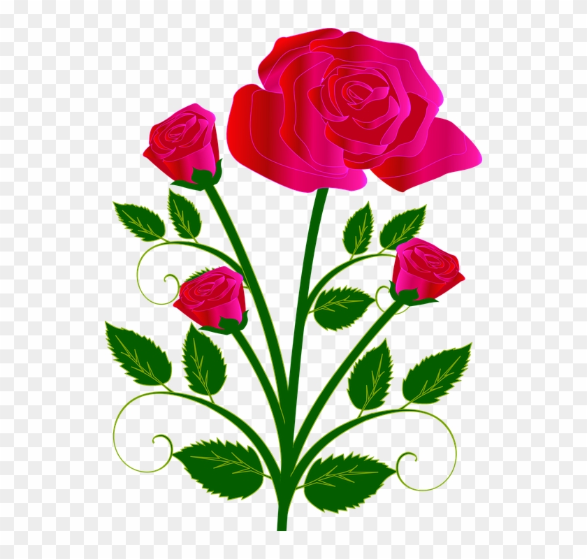 Bouquet Flower Rose Red Love - Flower Rose #33259