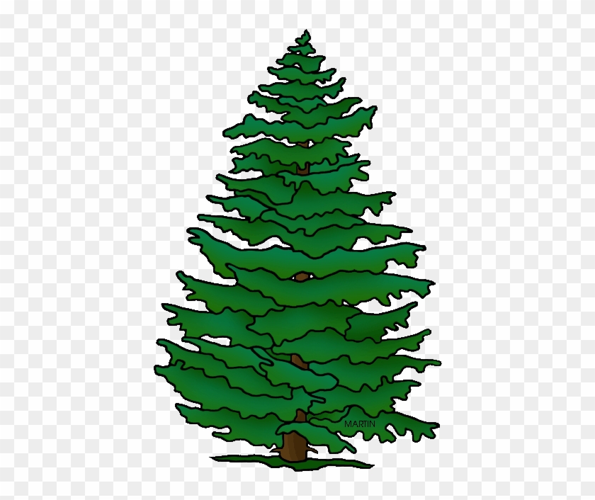 Pennsylvania State Tree Hemlock - Tree #33282