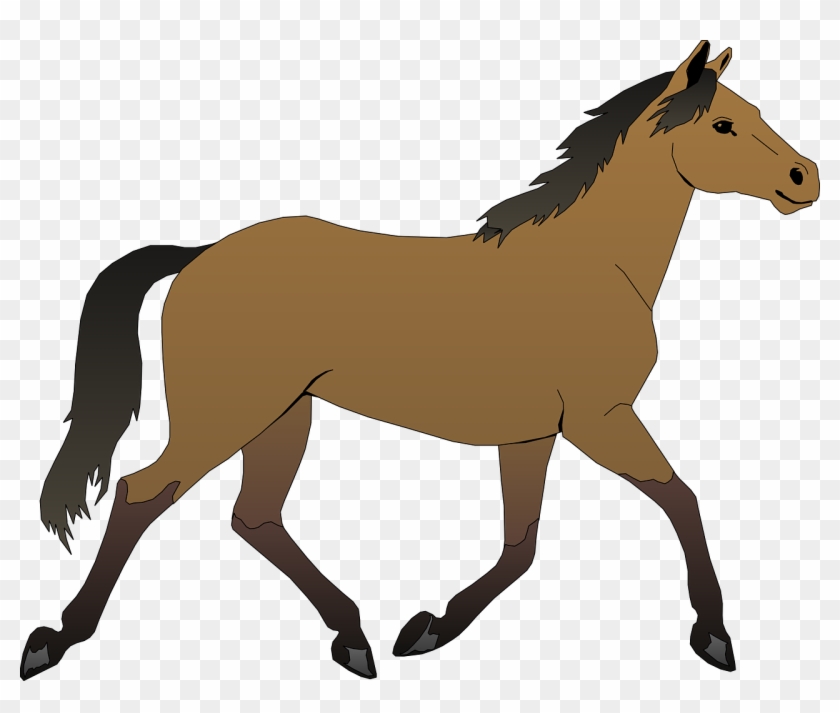 Horse Free Vector - Horse Clipart #33365