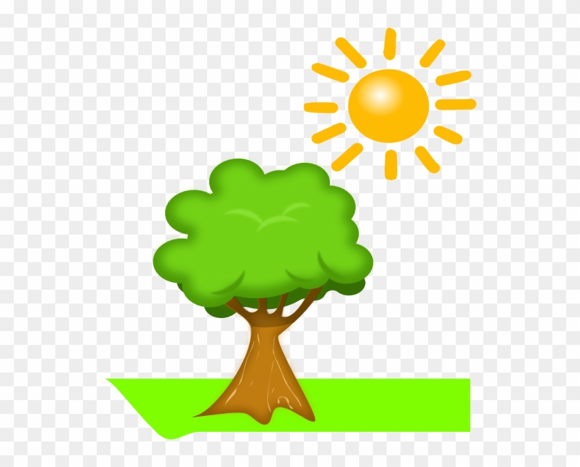 Cartoon Tree And Sun #33366