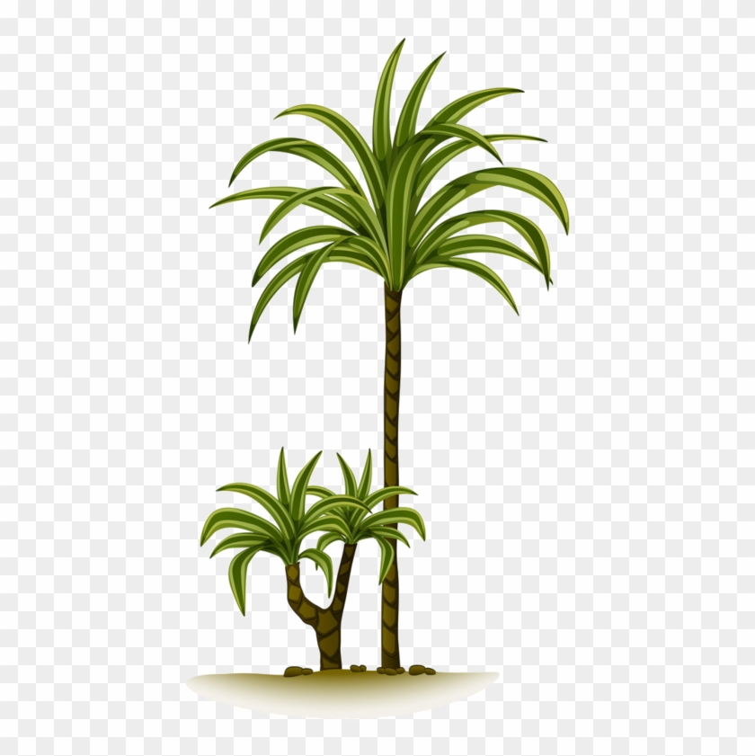 Arbre,tubes,png - Palm Trees #33423