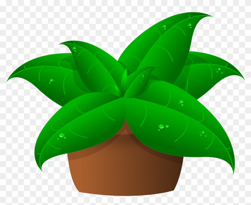 Clipart Of Plants In Pot - Plants Clipart #33496