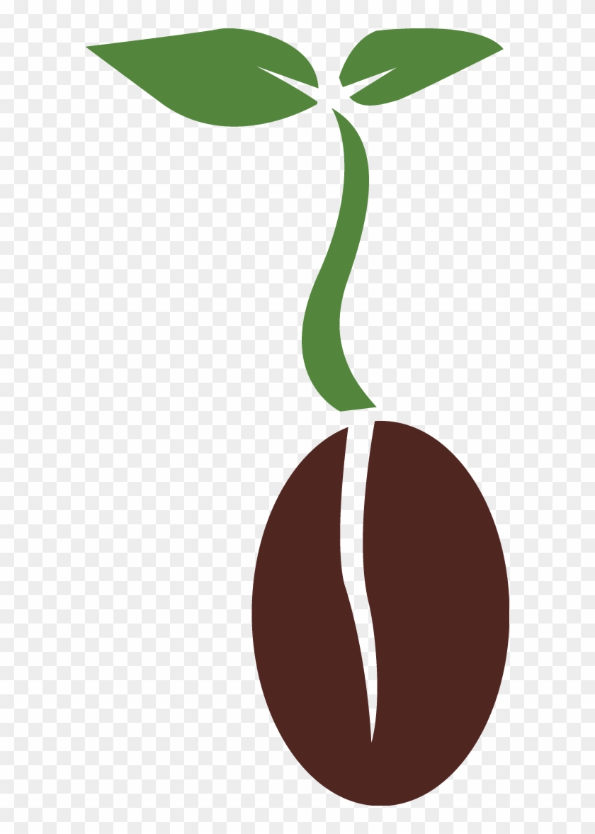 Seed Png Transparent Images - Plant Seed Png #33651