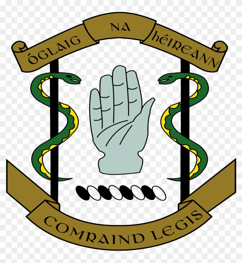 Irish Army Medic #33731