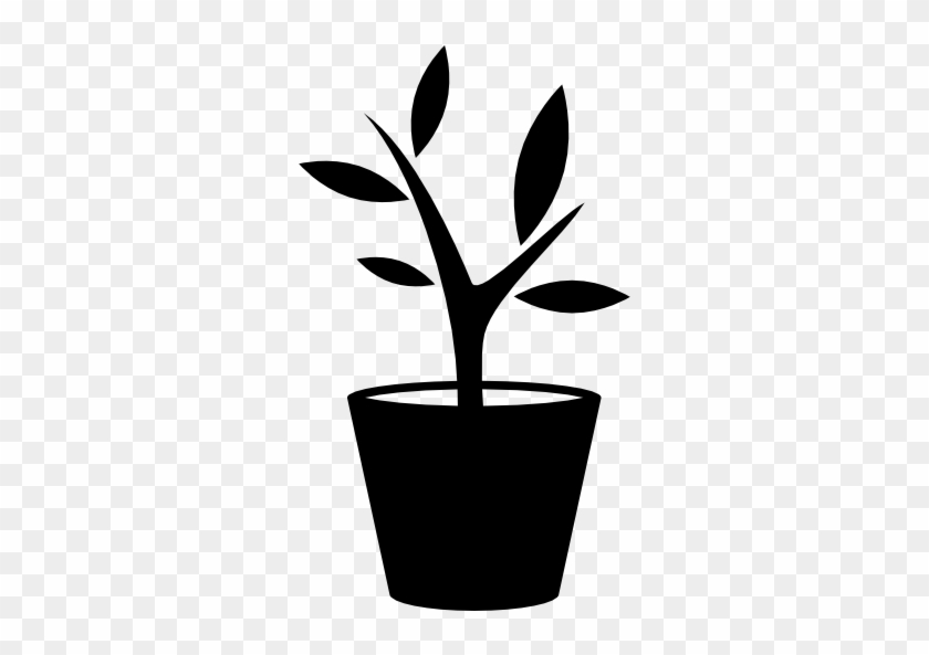 Size - Plant Pot Icon #33746