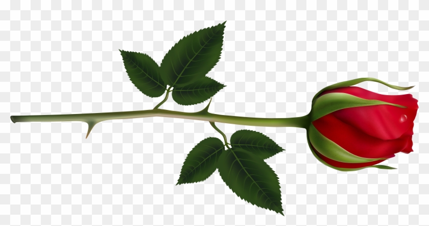 Rose Clipart Rose Tree - Red Rose Bud Png #33805