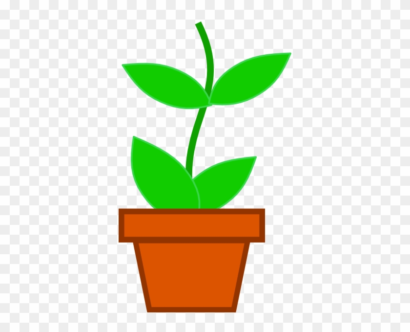 Plant In Pot Clip Art #33816