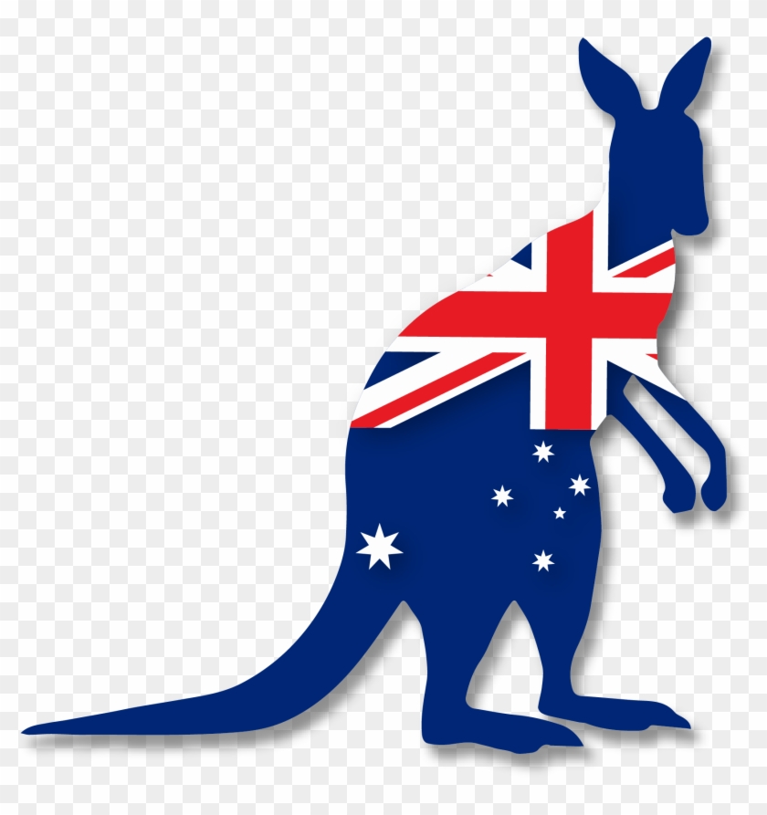 Kangaroo Australia Png Clipart - Kangaroo .png #33825