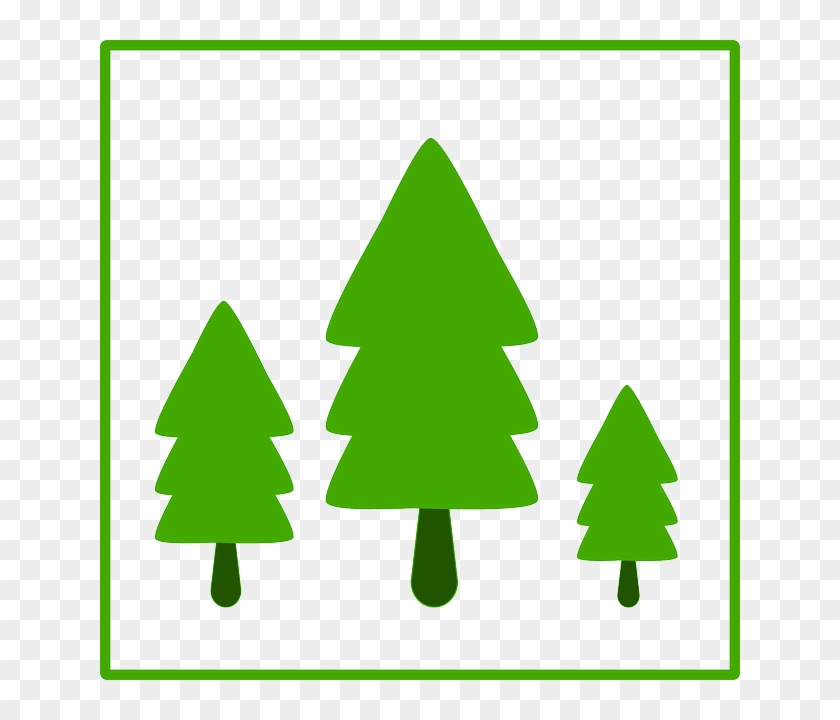 Tree, Fir, Ecology, Green, Growth, Sign - Trees Icon #33829