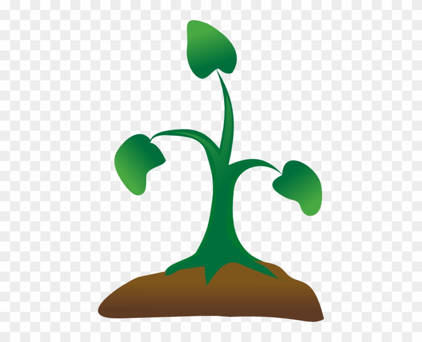 Seedling Clip Art - Sapling Clipart Png #33836