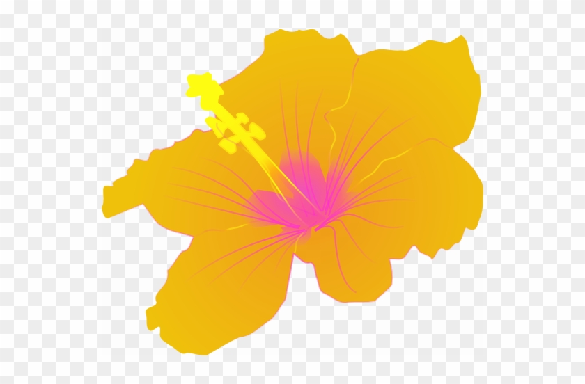 The Next Two Flowers Are Hibiscus, This One A Nice - Hibiscus Clip Art #34054