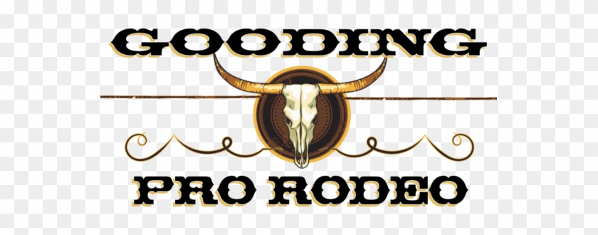 Gooding Pro Rodeo - Gooding County, Idaho #34277