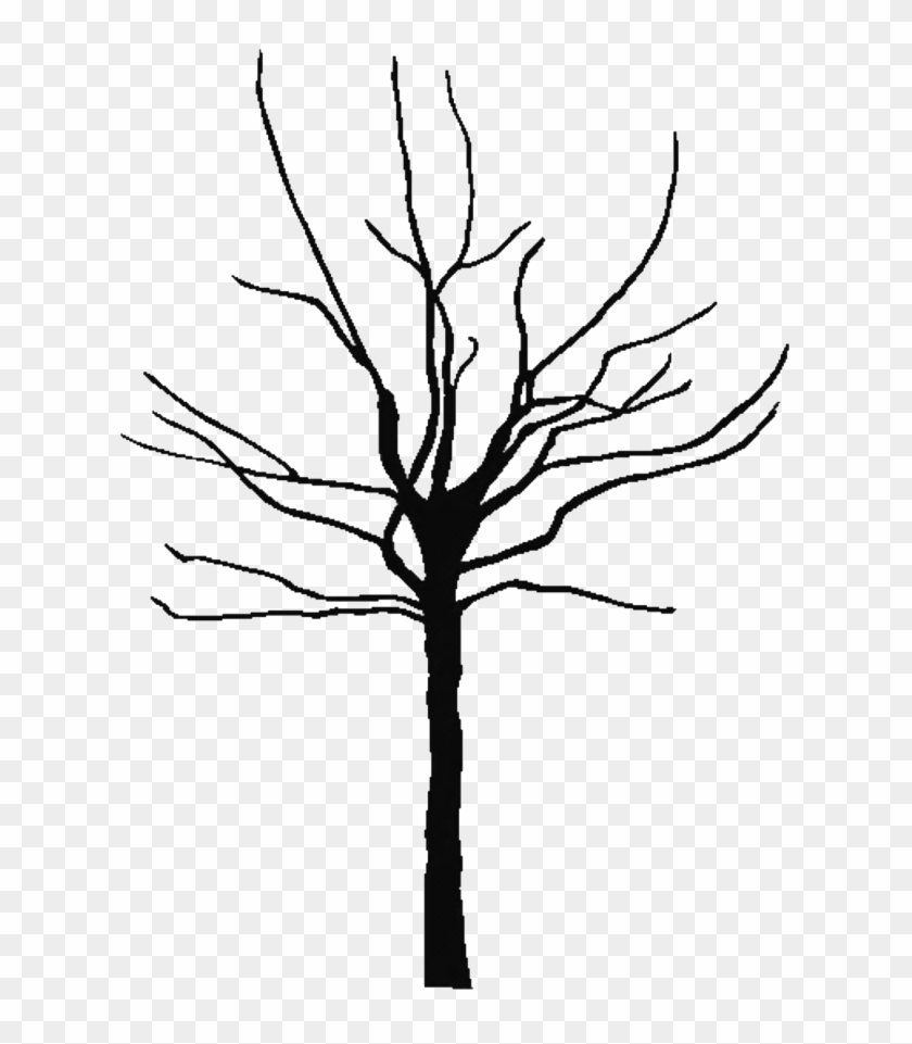 Tree Outline Printable Clipart Best 143849 Free Coloring - Bare Clipart Tree #34507