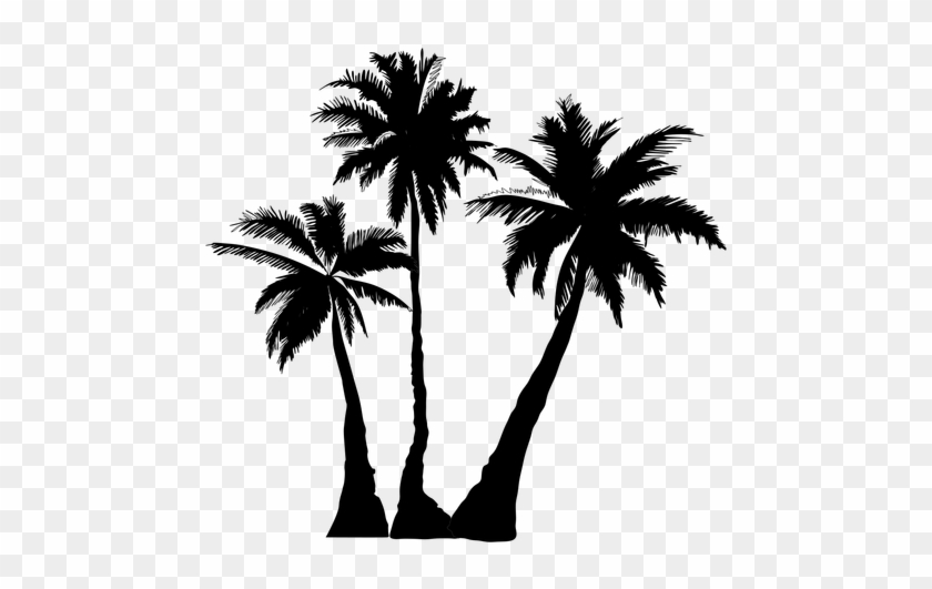 Explore Palm Tree Clip Art, Black Silhouette, And More - Palm Trees Silhouette Png #34548