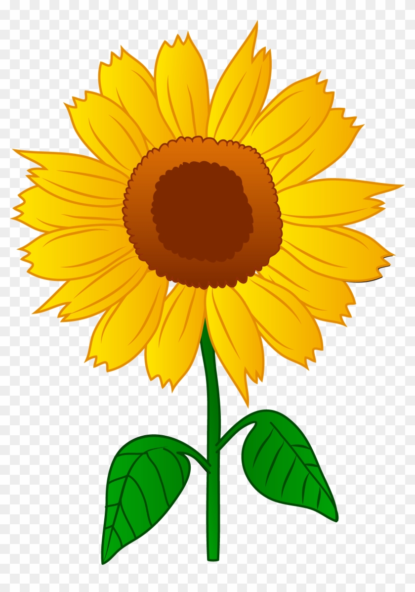 Clip Arts Related To - Clipart Sunflower #34631