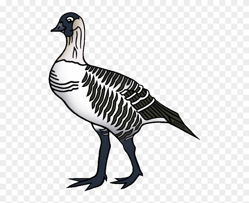 State Bird Of Hawaii - Duck - Full Size PNG Clipart Images Download