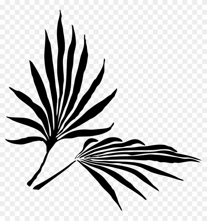 Net » Clip Art » Fronds Silhouette Black White Line - Palm Frond Clip Art #34770