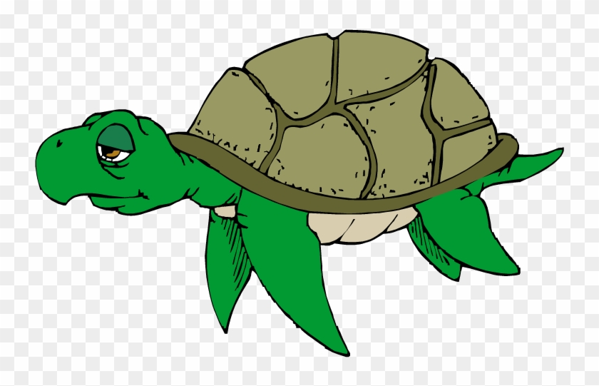 Hawaiian Sea Turtle Clipart Free Images 2 - Sad Turtle Clip Art #34794