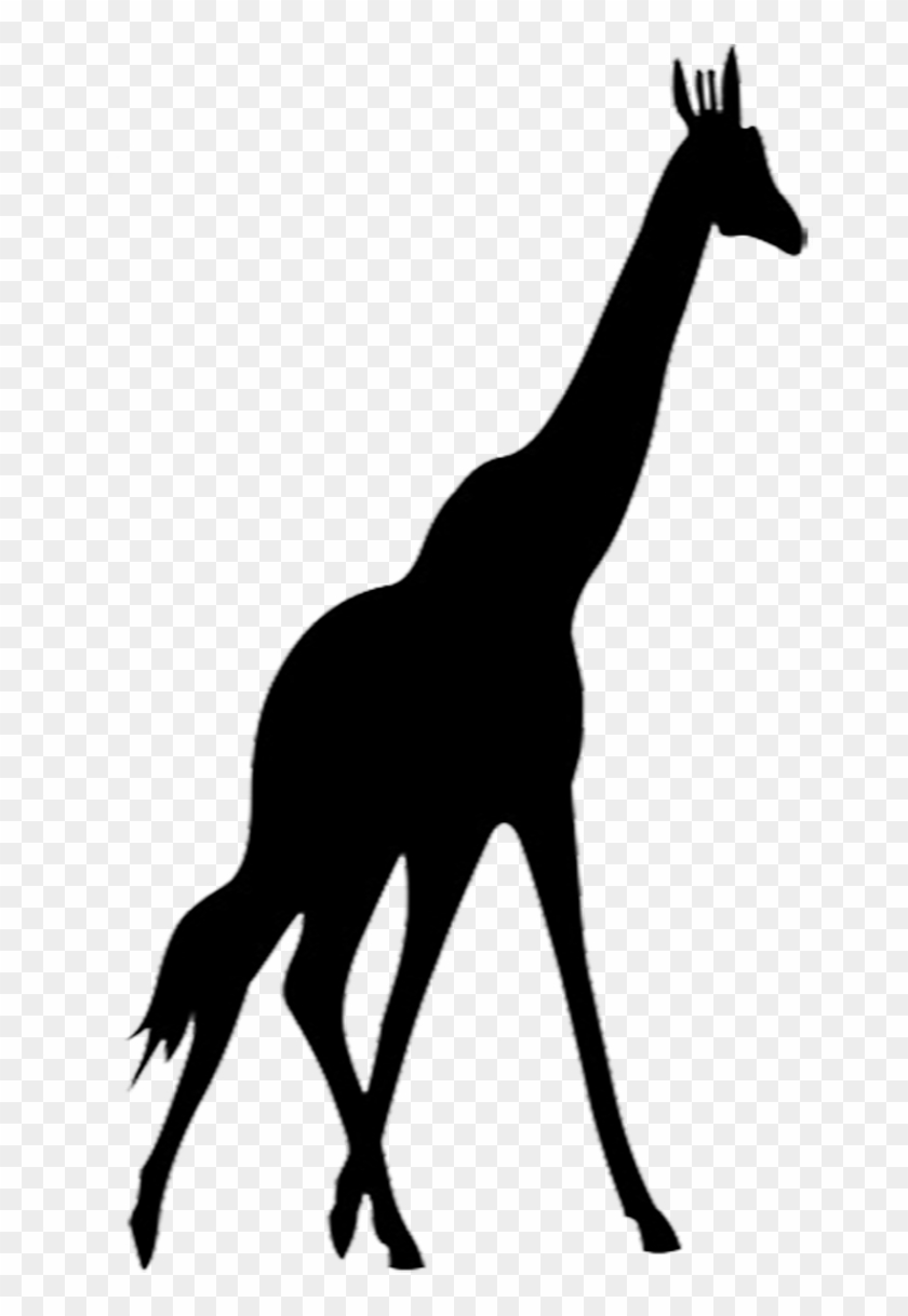 Giraffe Silhouette - Silhouette Giraffe Png #34860