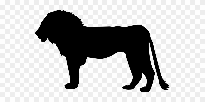 Africa Animal Big Cat Lion Silhouette Lion - Silhouette Of Lion #34877