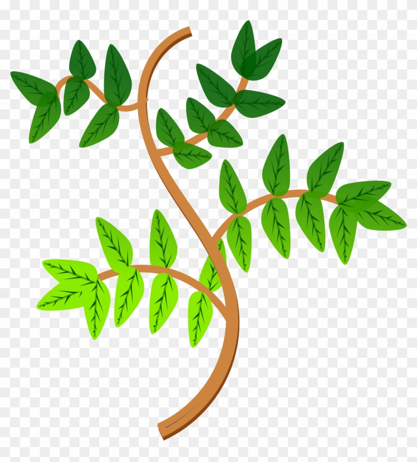 Clipart Tree With Branches And Leaves - Plants #34899