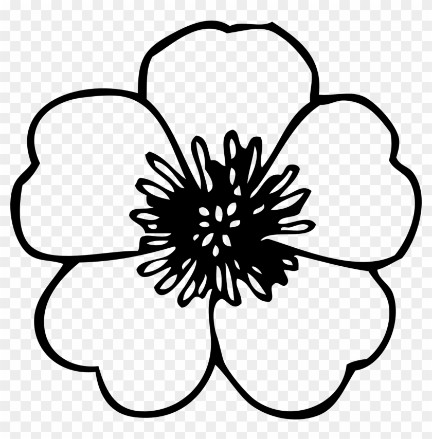 Hawaiian Flower Clip Art Black And White Flower Clipart - Flower Clip Art Free #34900