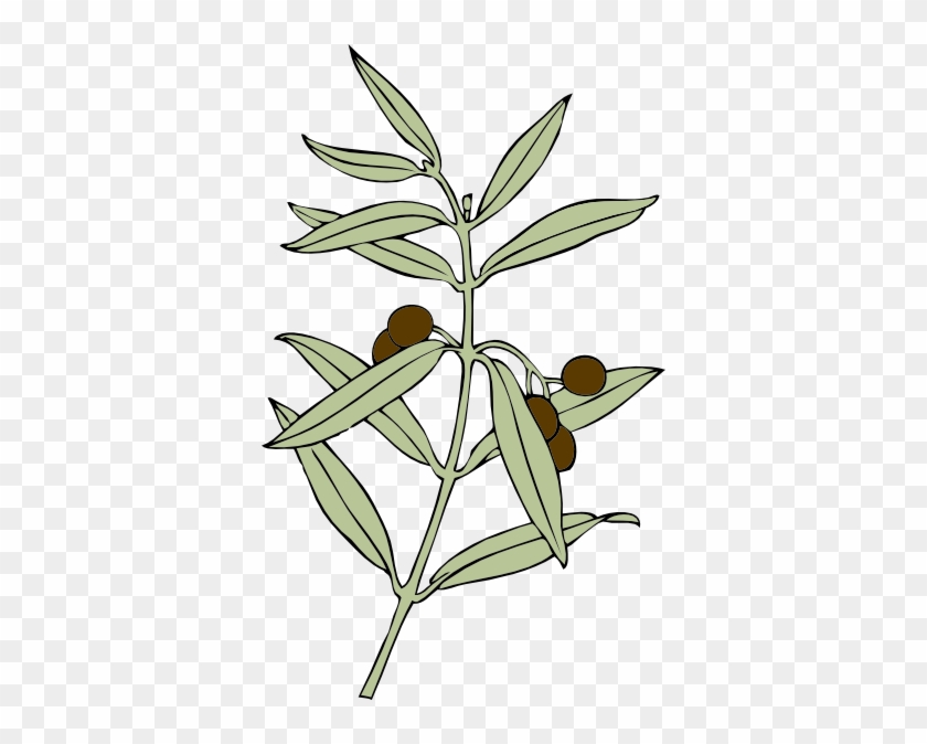 Free Vector Olive Branch Clip Art - Olive Branch Animated #34952