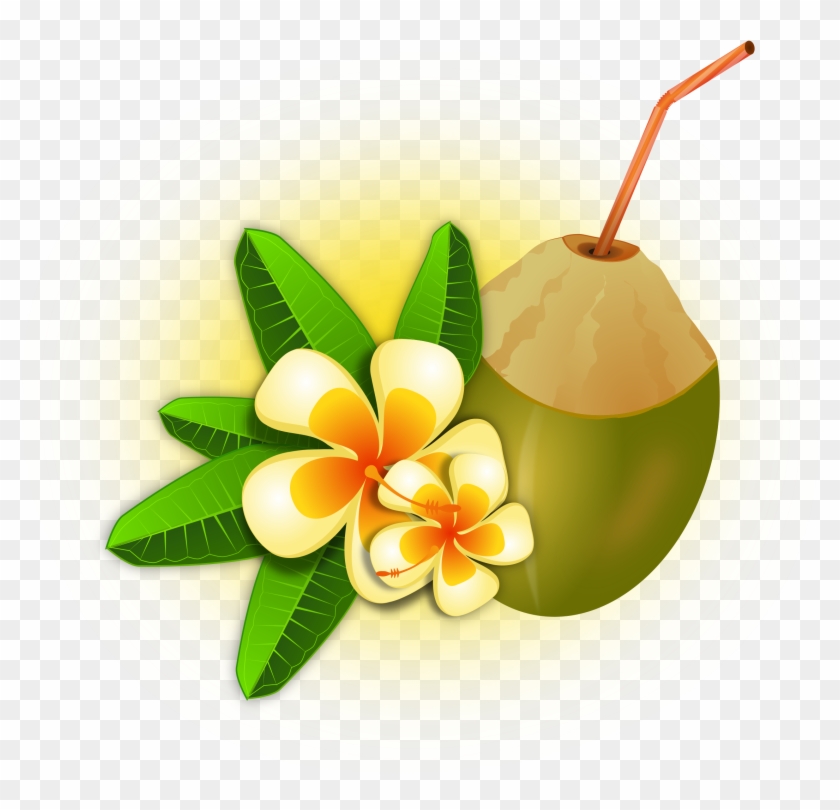 Hawaii Clipart Coconut Cocktail - Coco Tropical Png #34968