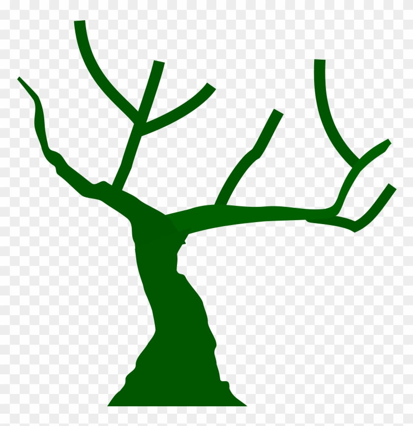 Get Notified Of Exclusive Freebies - Tree With Branches Icon #34965