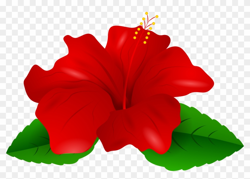 Hibiscus Clipart Red Hibiscus - Hibiscus Clipart #35018