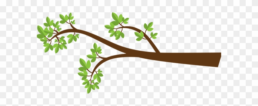 Tree Limb - Tree Branch Clipart #35031