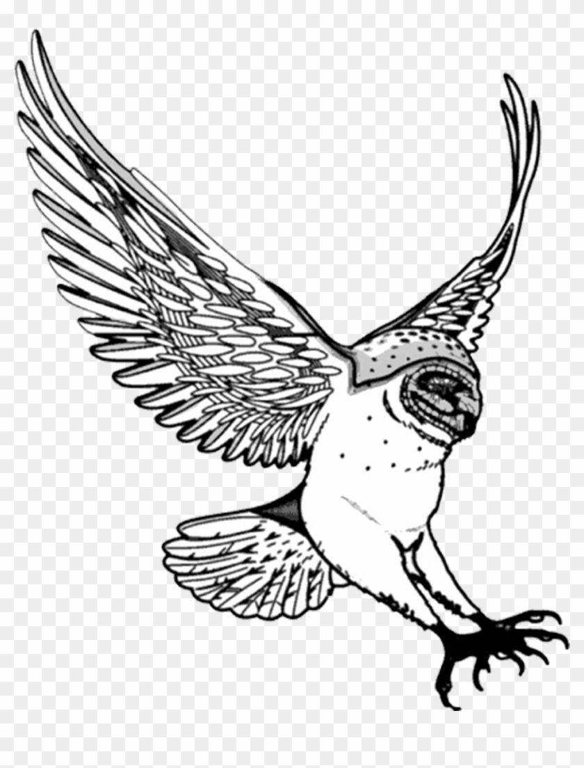 Flying Owl - Flying Owl Clipart Black And White #35122