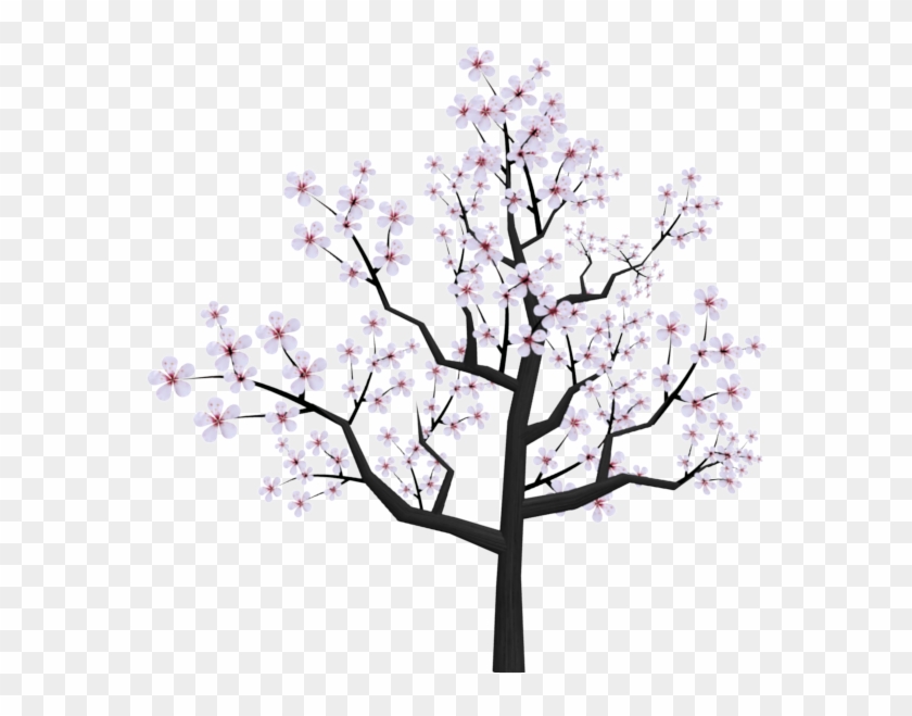 Drawn Sakura Blossom Transparent - Cherry Blossom Tree Png Drawing #35523