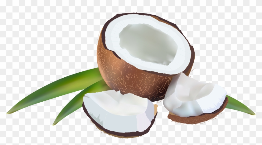 Coconut Transparent Png Image - Coconut Transparent Png Image #35583