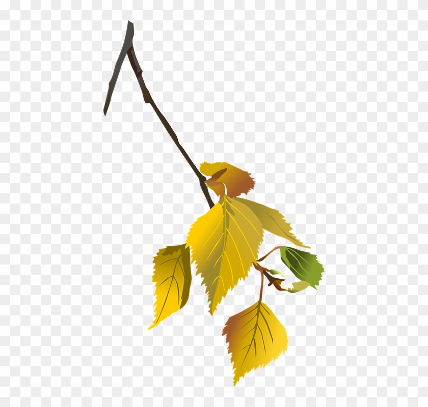 Tattoo - Autumn Leaves Tree Branch Png #35592