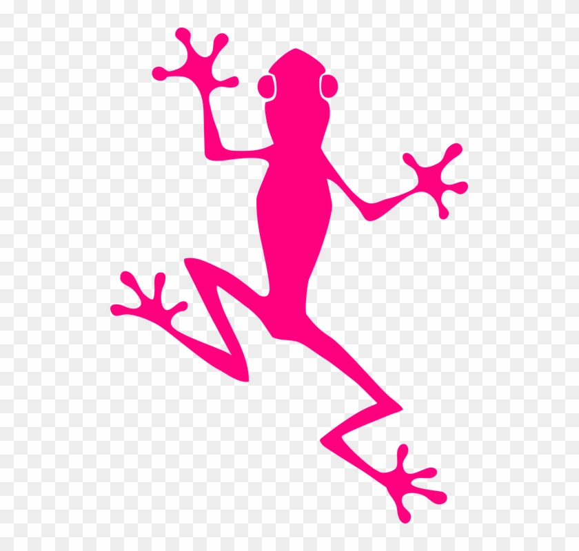 Frog Climb Pink Amphibian Animal Nature Wildlife - Frog Graphic #35620