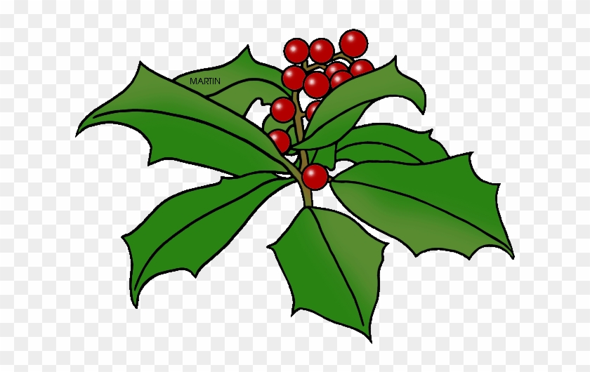 State Tree Of Delaware - State Tree Of Delaware #35668