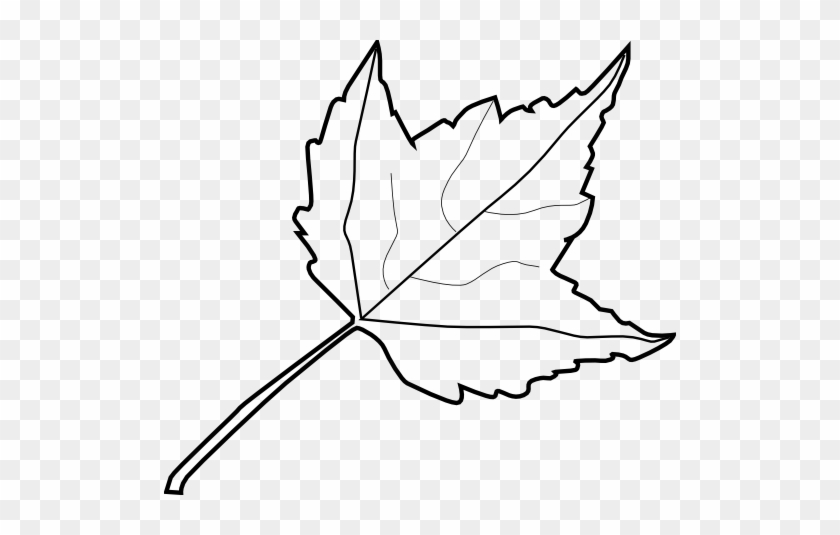 Embed This Clipart - Outline Image Of Leaf #35687