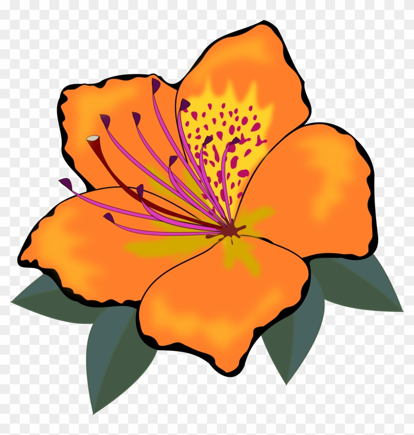 Orange Flowers Cliparts - Orange Flowers Clip Art #35719
