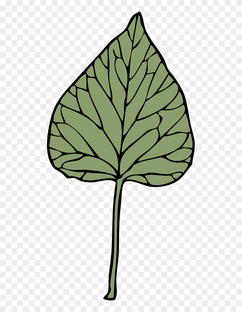 Ivy Leaf Clip Art Vines Leaves Growing G2ov3s Clipart - Clip Art #35722