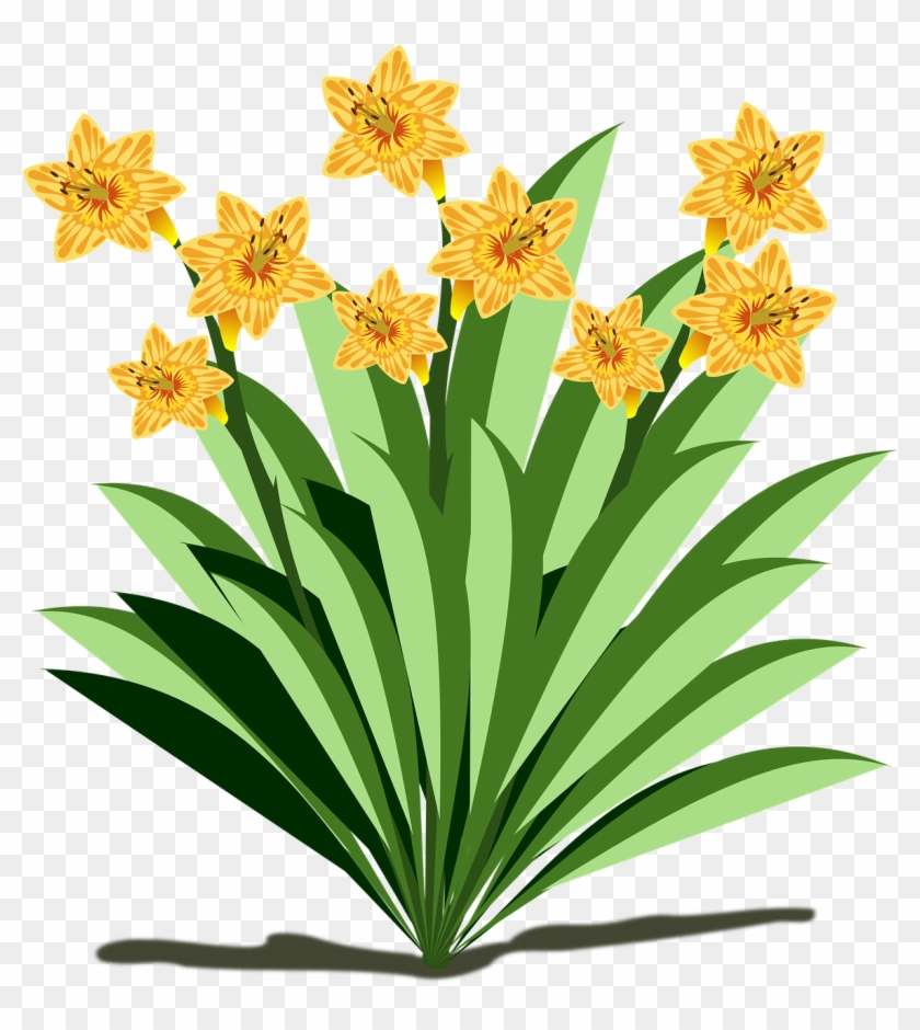 Clip Art Flor Flora Flower Nature Plant Cl - Fun Facts About Plants #35755
