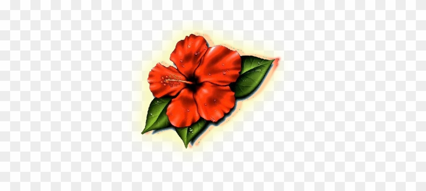 Hibiscus Flower Tattoos- High Quality Photos And Flash - Hibiscus Flower Tattoo #35767